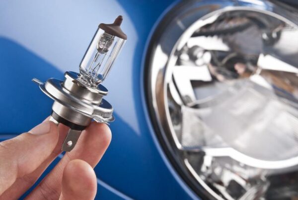 Mzr Auto Lamp Bulbs